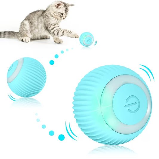 PawRoll™ - JUGUETE GATO
